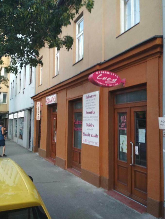 Jonas Apartments - Great Location Near Bratislava City Center 外观 照片